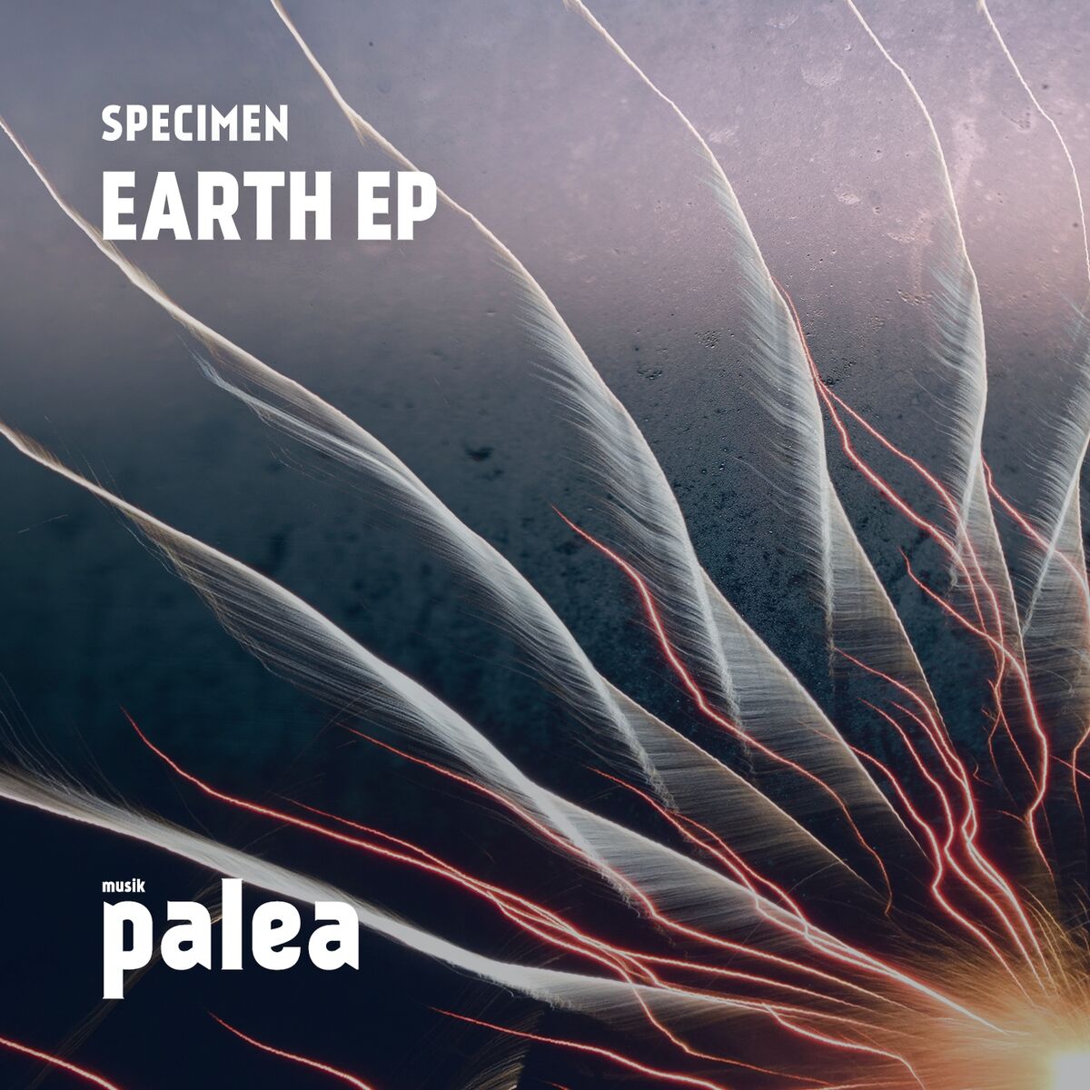 Album cover of Earth