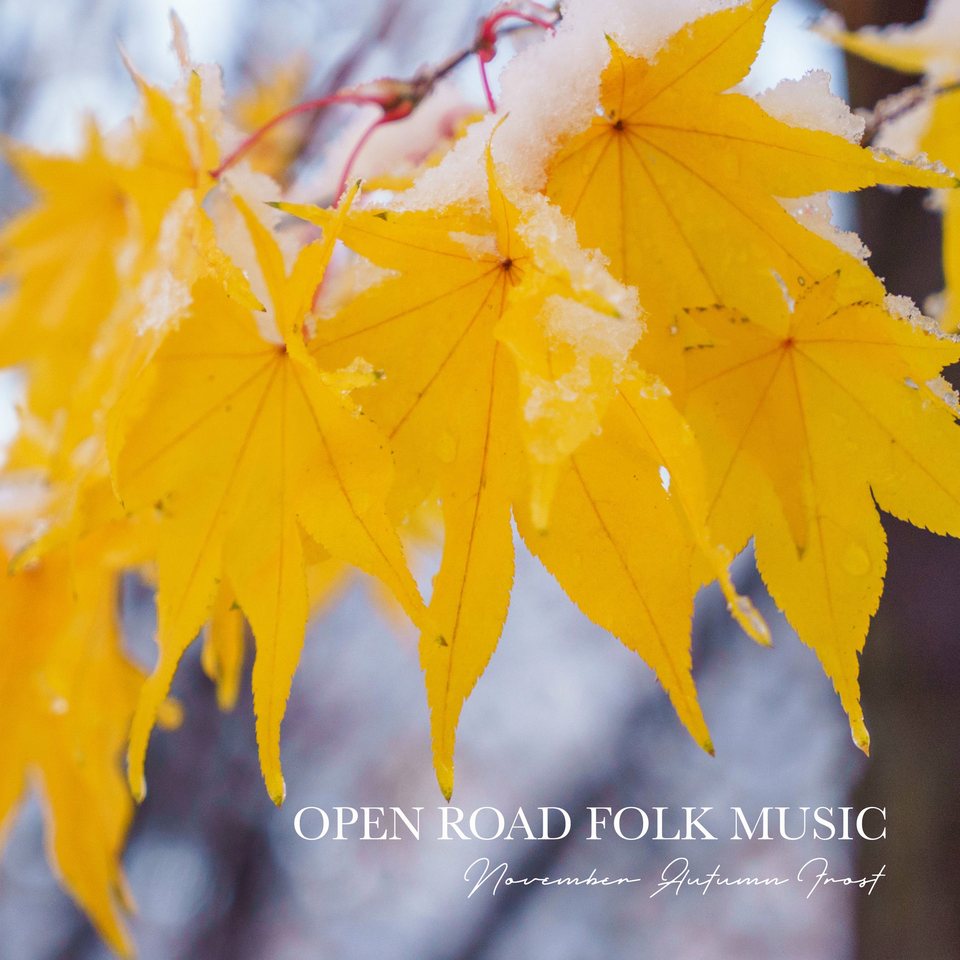 Album cover of November Autumn Frost