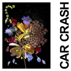 Cover of Car Crash