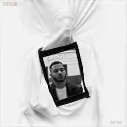 Cover of Shadow