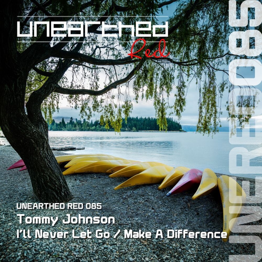 Picture of I'll Never Let Go / Make A Difference