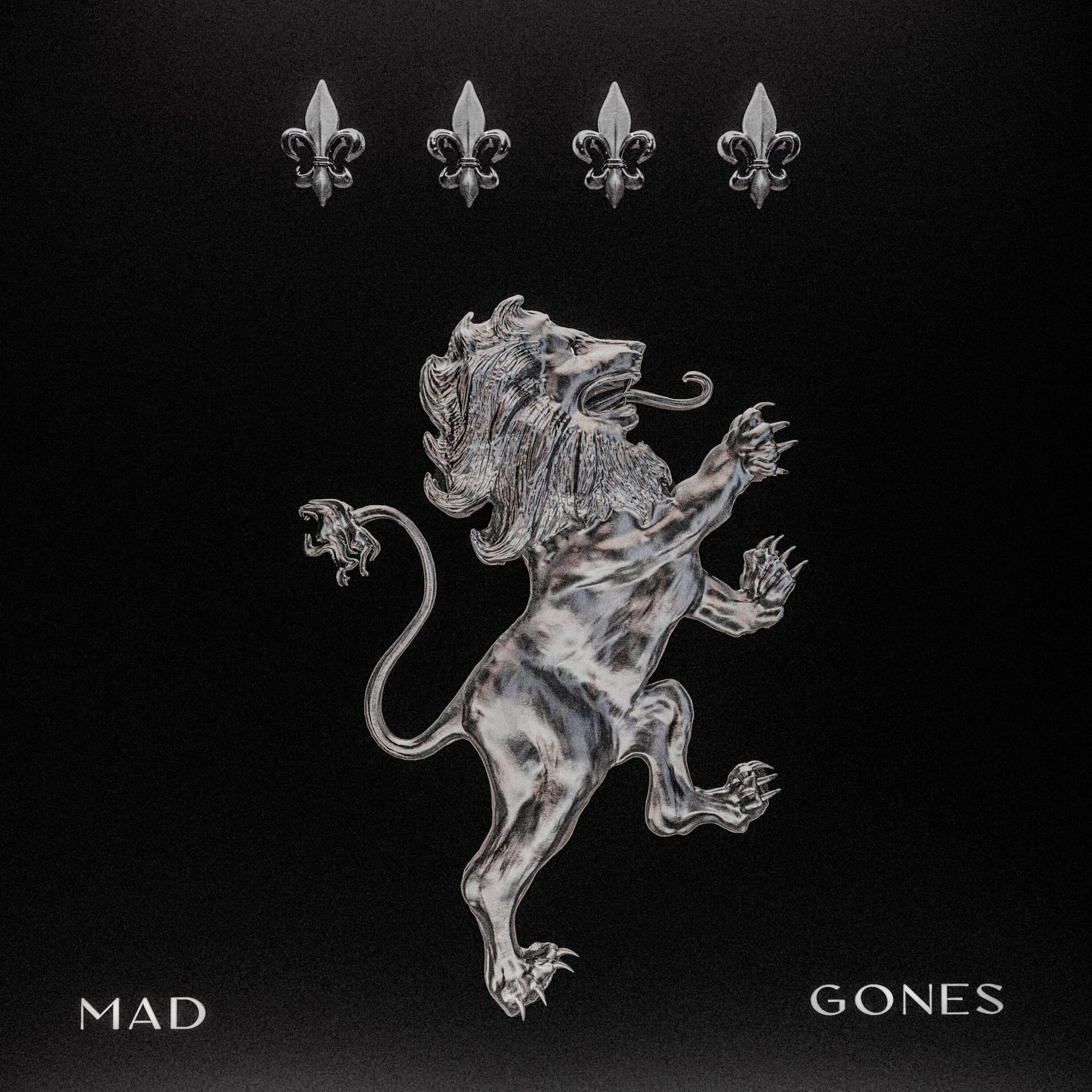 Album cover of MAD GONES