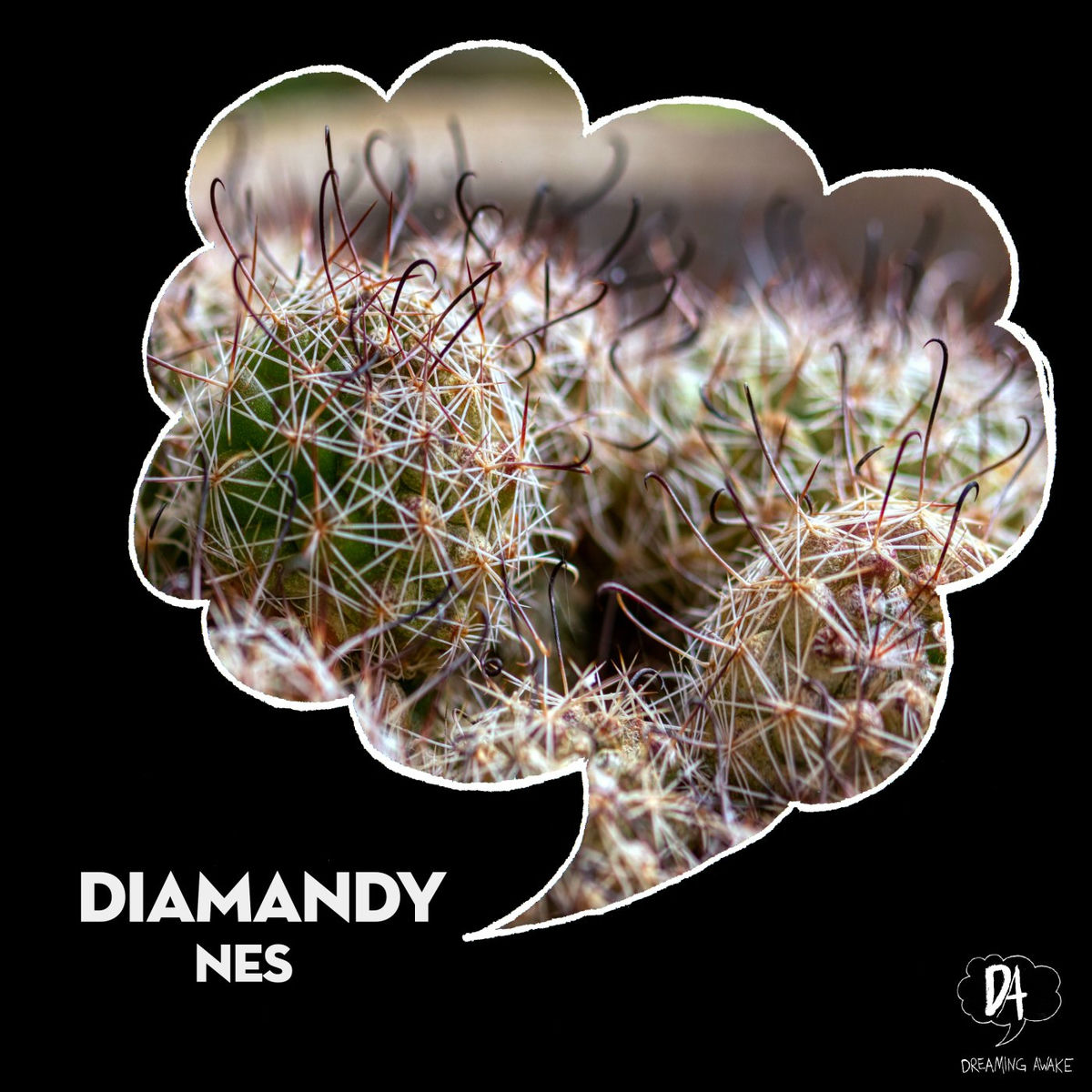 Album cover of Nes