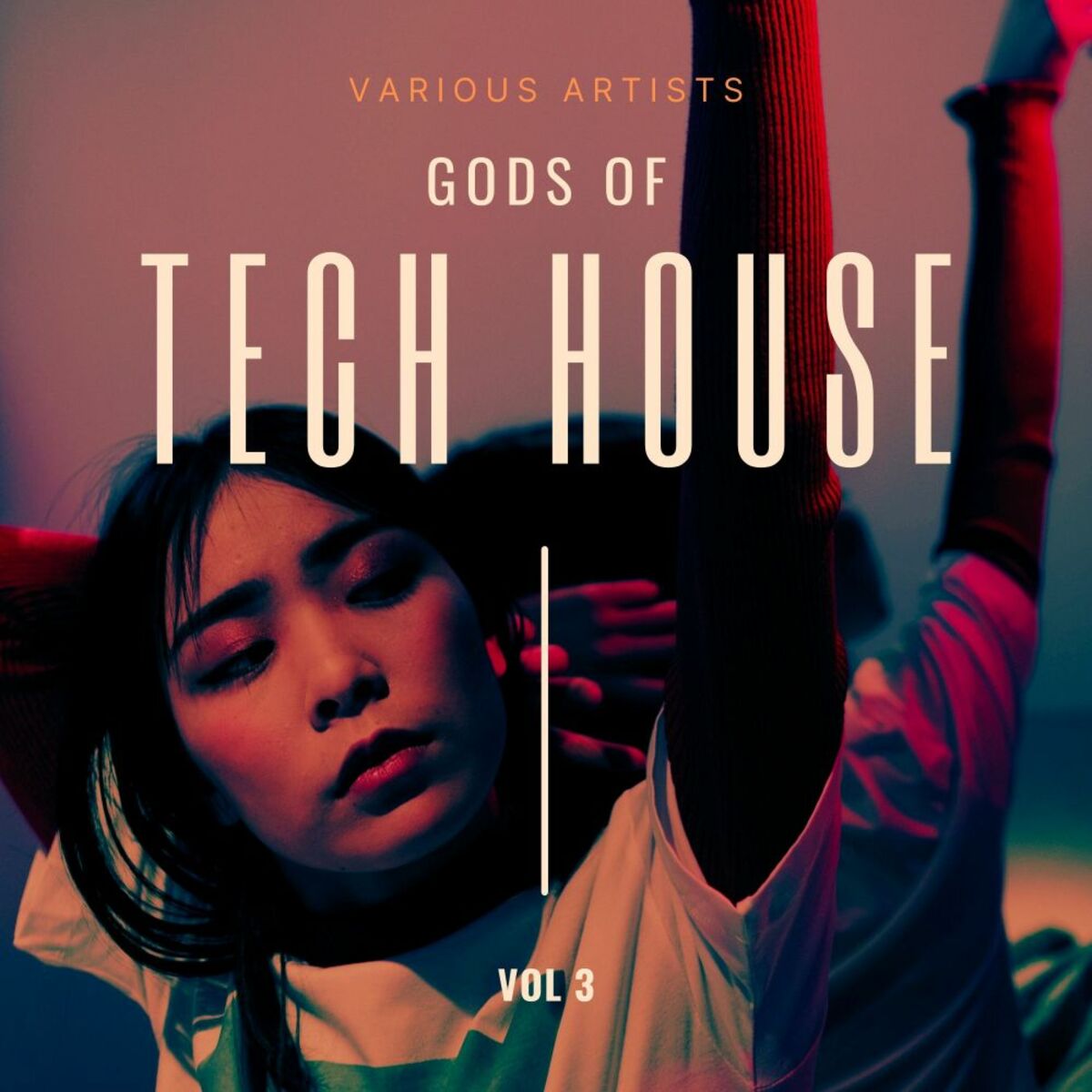 Album cover of Gods of Tech House, Vol. 3