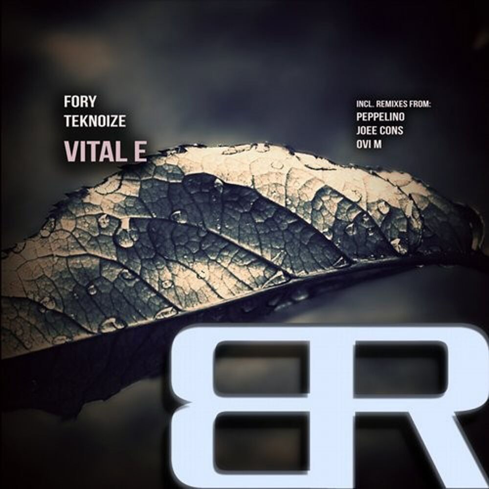 Picture of Vital E