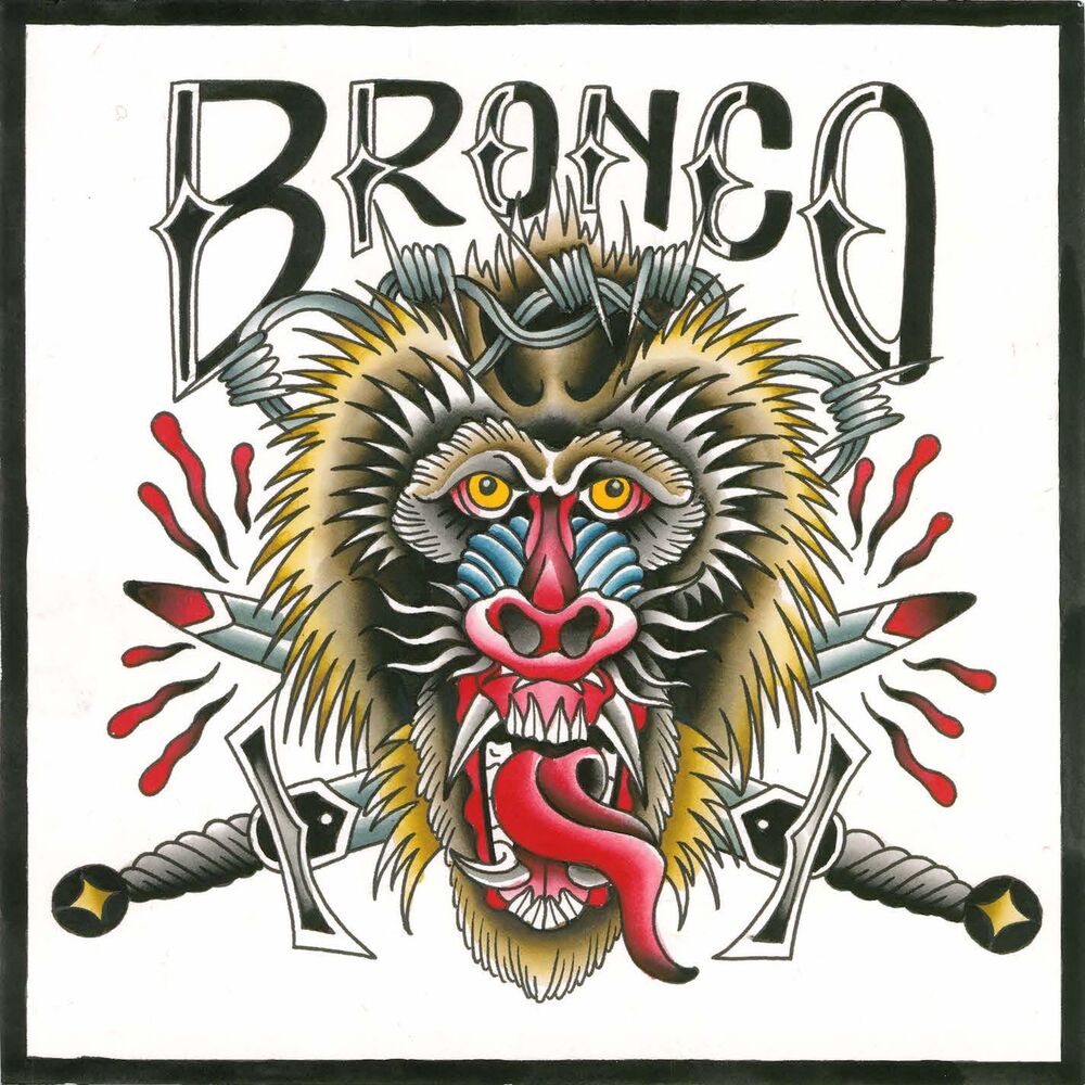 Picture of Bronco