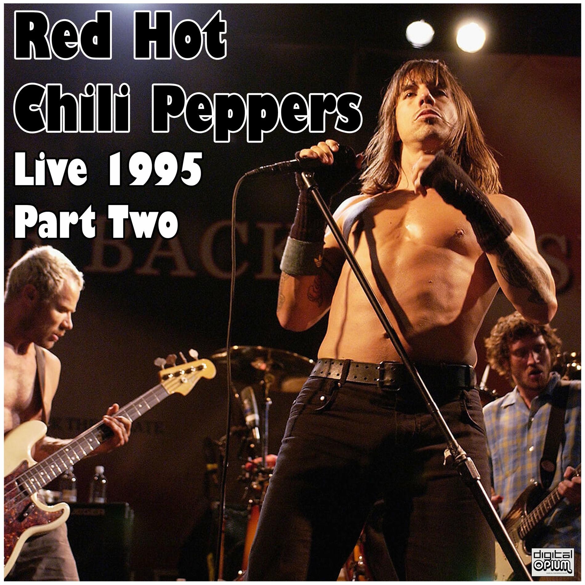 Red Hot Chili Peppers - Live 1995 Part Two (Live) | Deezer