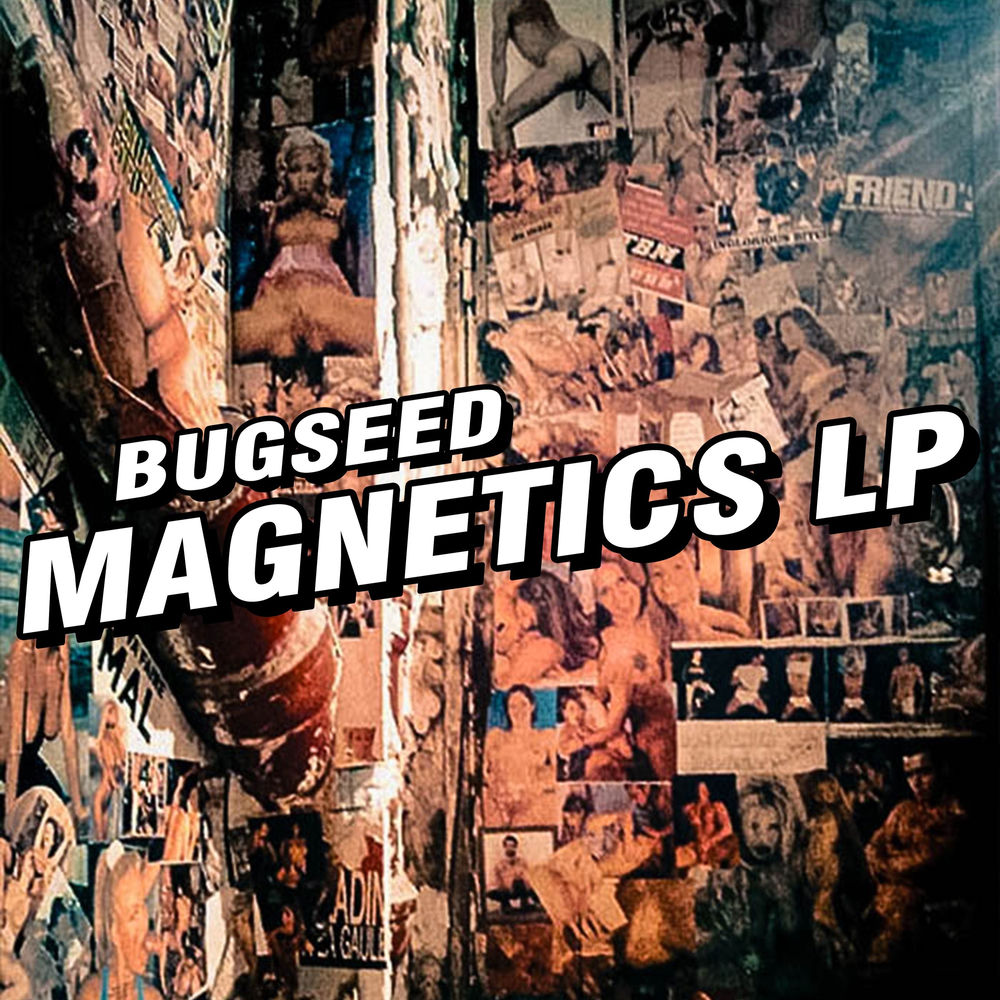 Magnetics LP cover