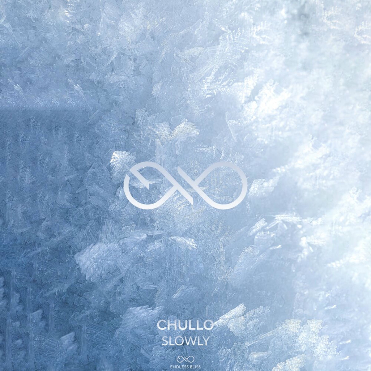 Album cover of Slowly