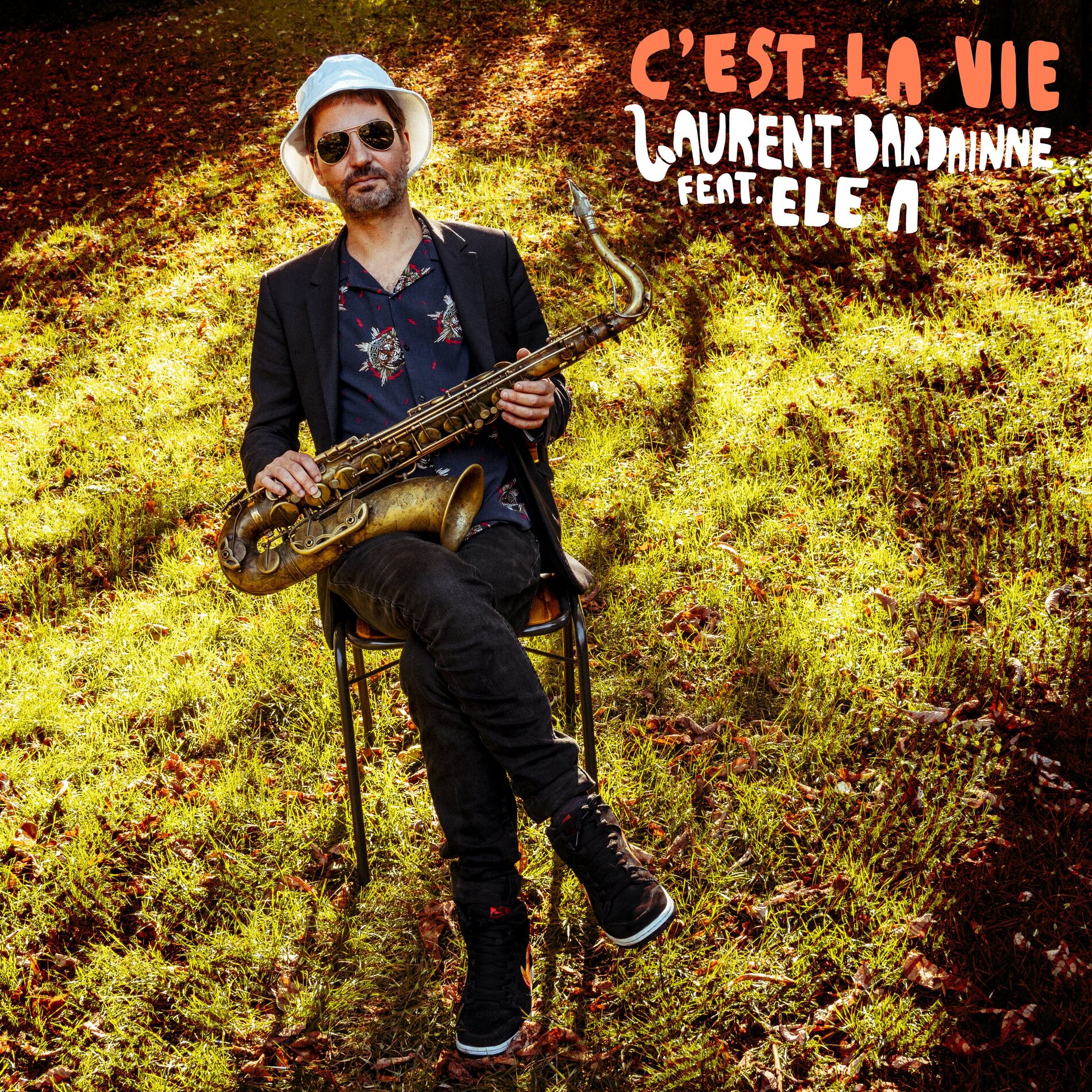 Album cover of C'est la vie