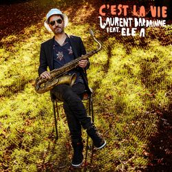 Cover of C'est la vie