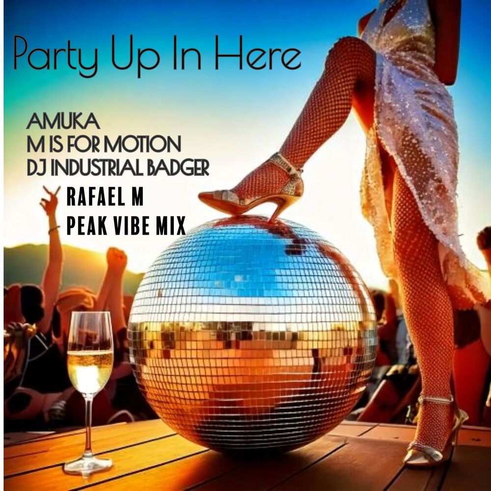 Picture of Party Up In Here (Rafael M Peak Vibe Mix)