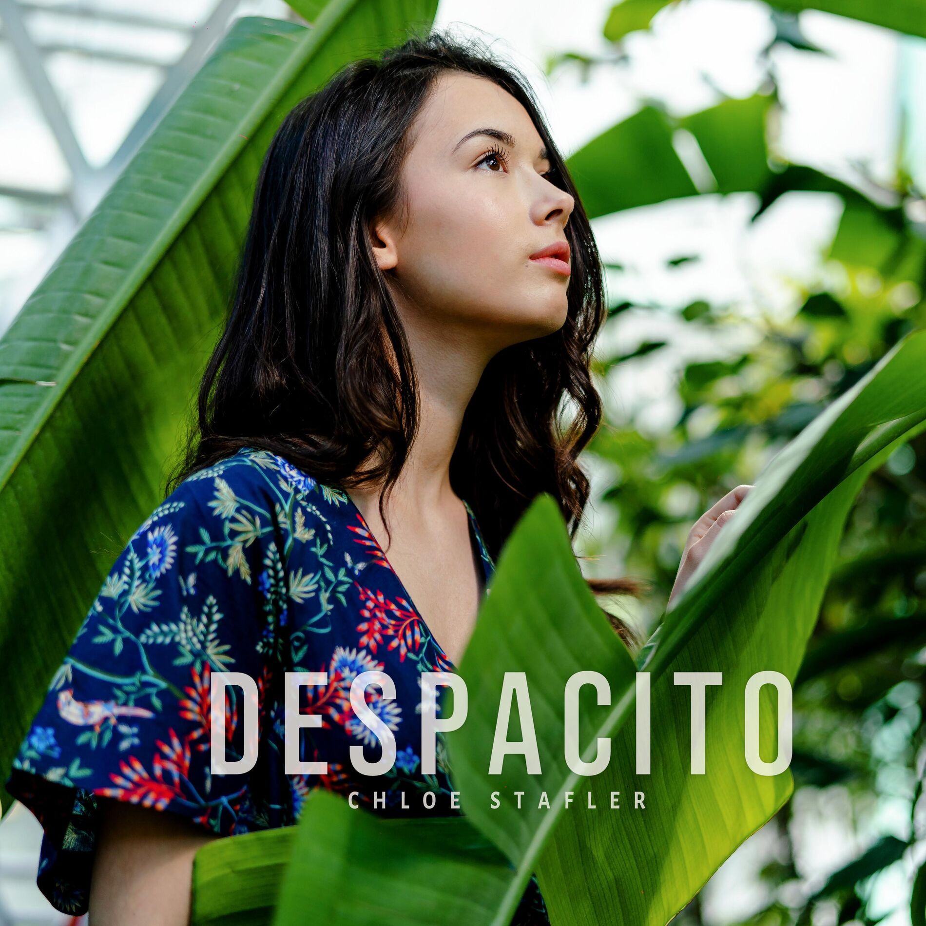 Album cover of Despacito