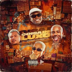 Cover of Coisa de Luxo