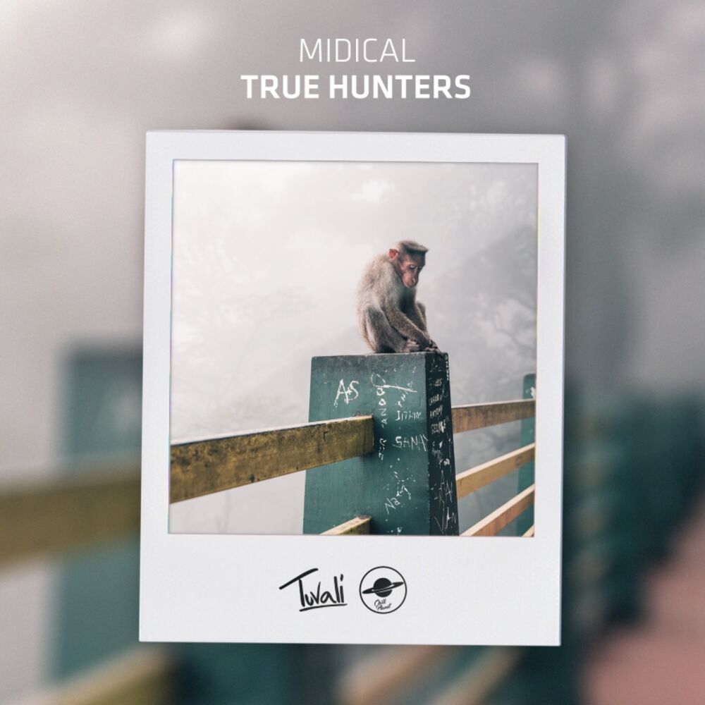 Picture of True Hunters