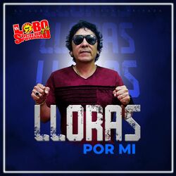 Cover of Lloras por Mi