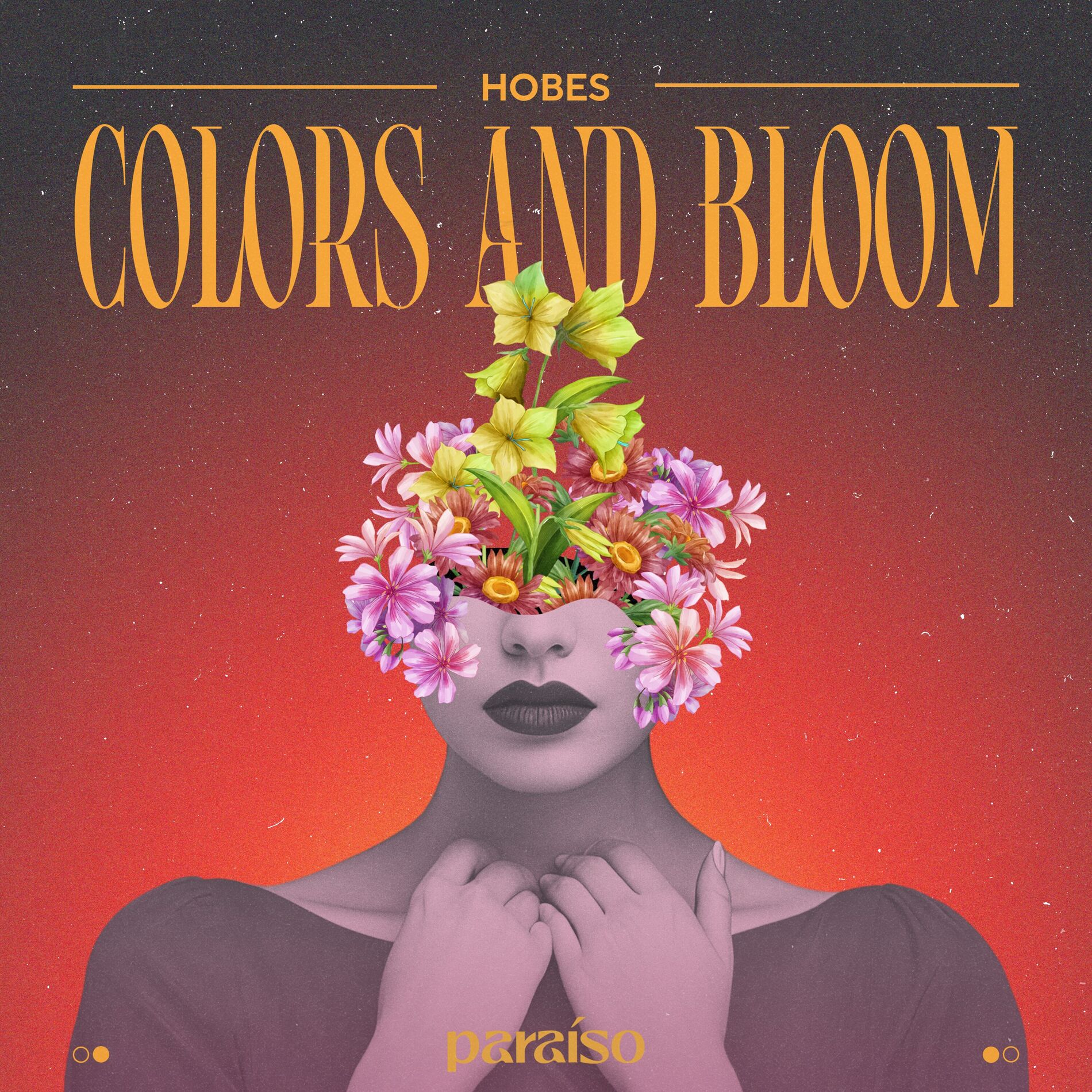 Album cover of Colors And Bloom