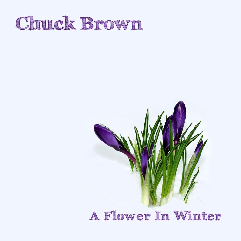 Picture of A Flower in Winter