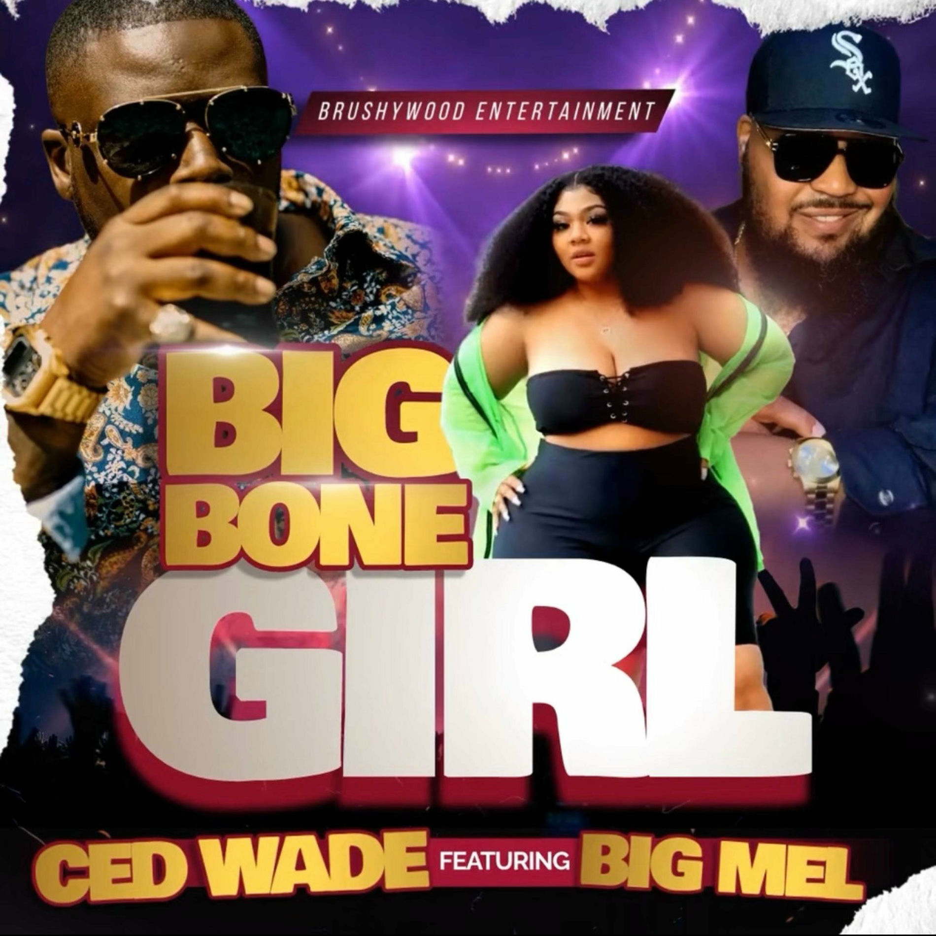 Album cover of Big Bone Girl