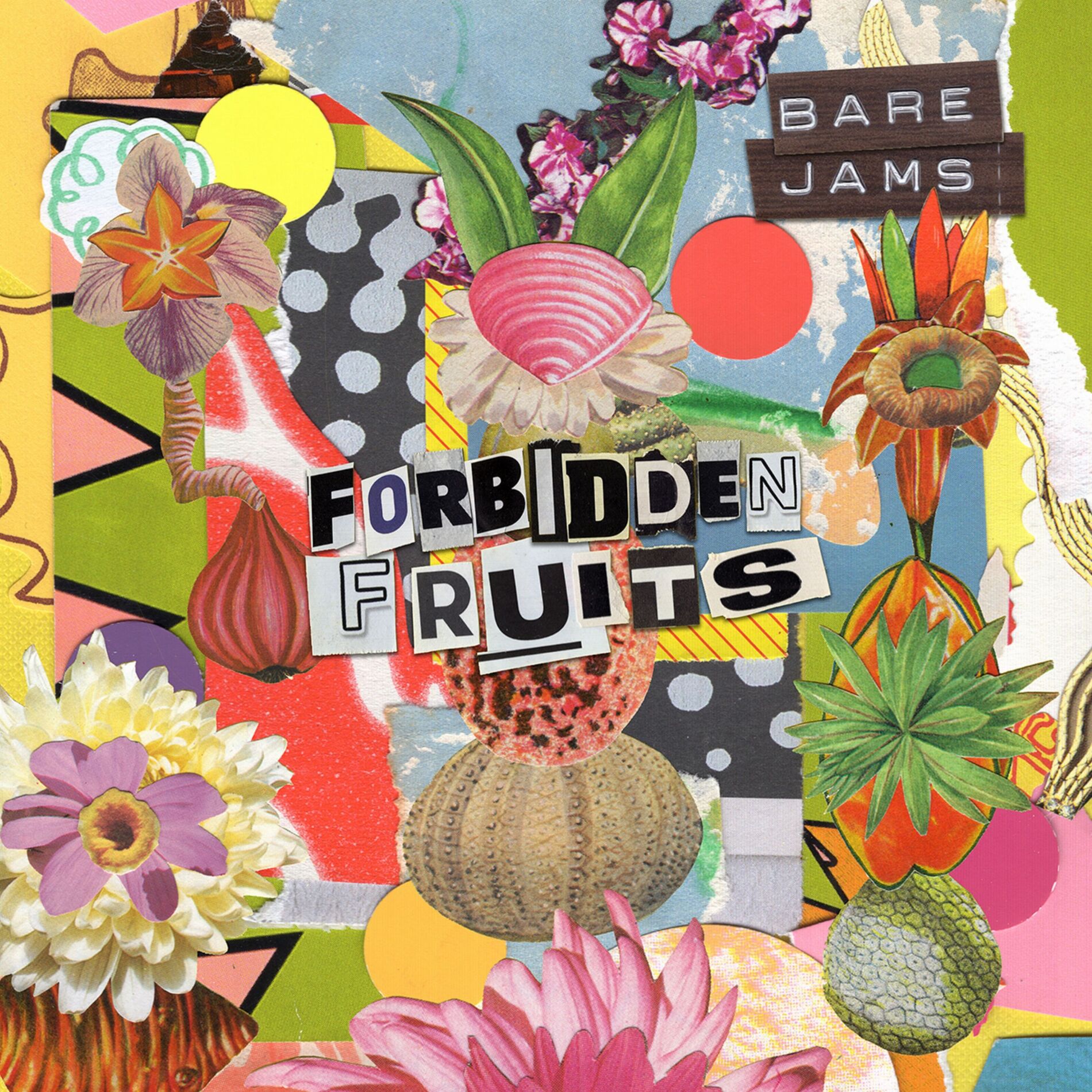 Album cover of So Long