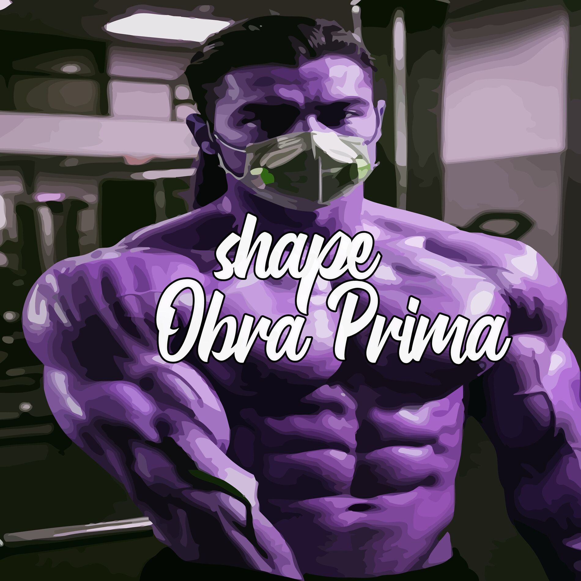 Album cover of Shape Obra Prima