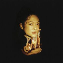 Cover of Still a Fire