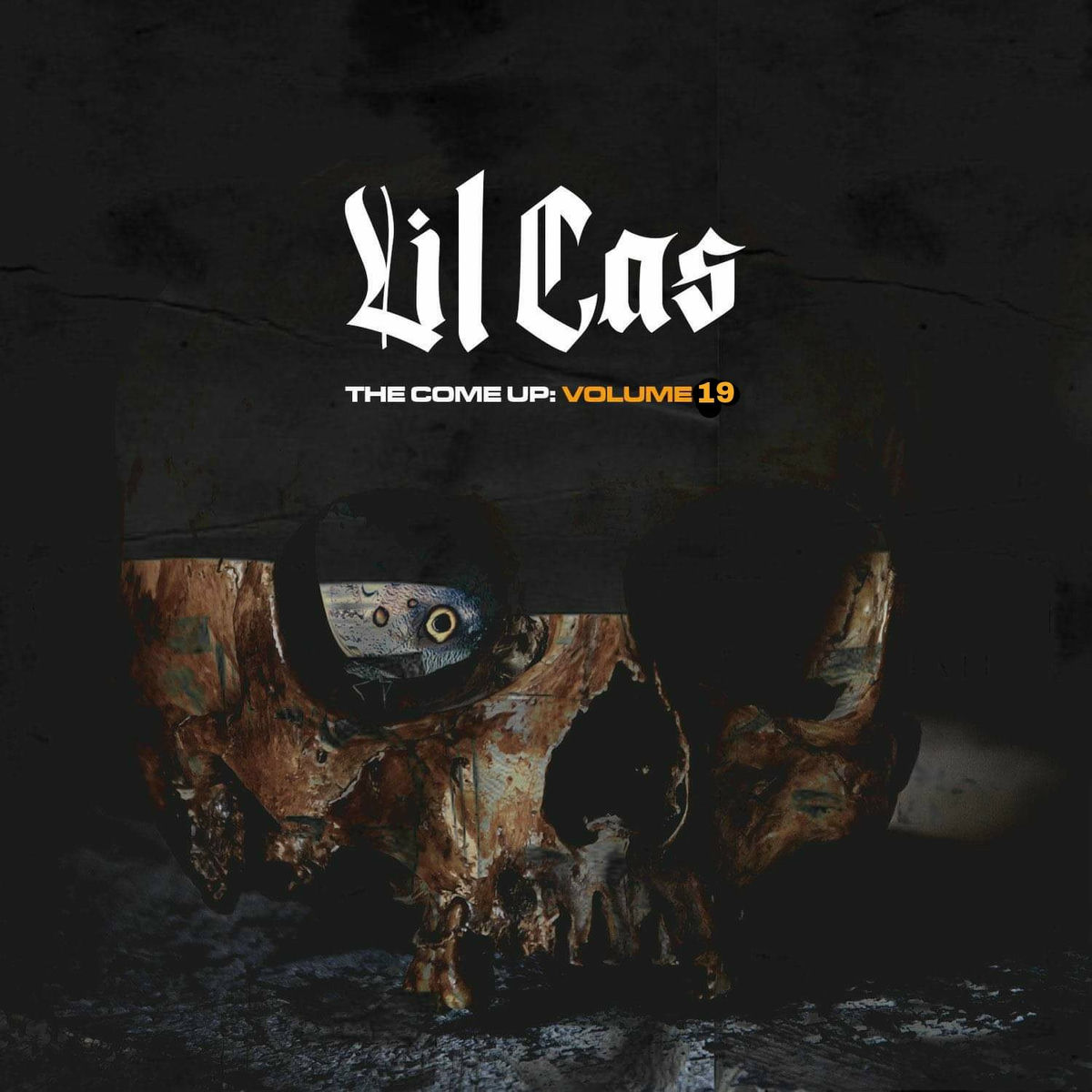 Album cover of The Come Up, Vol. 19