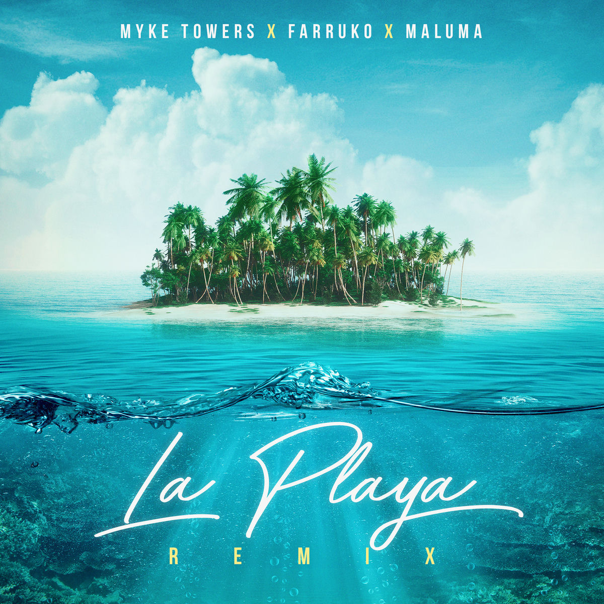 Album picture of La Playa (Remix)