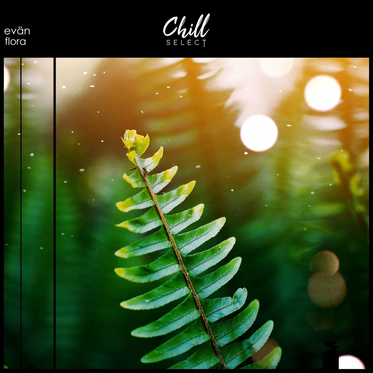 Album cover of Flora