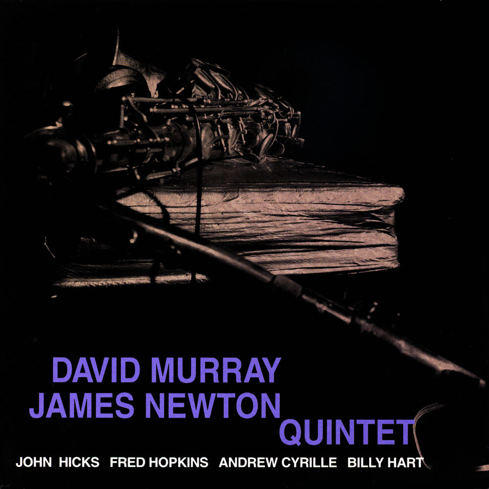 Picture of David Murray / James Newton Quintet