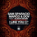 I Like You EP (incl. Guyohm & David Monje Remix)