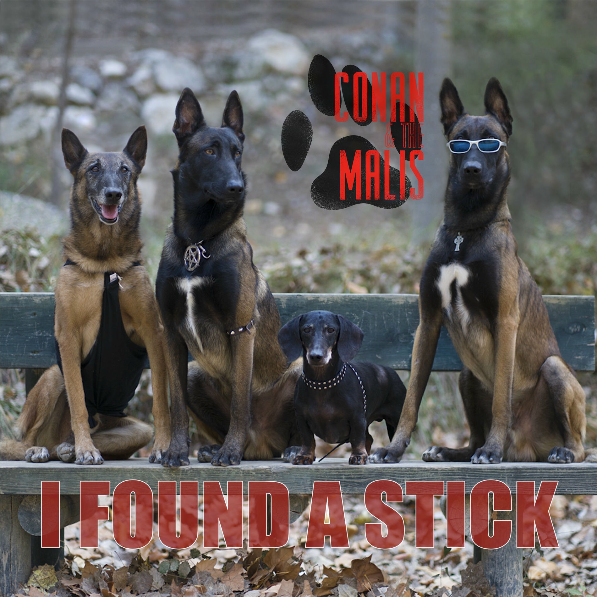 Album cover of I Found a Stick