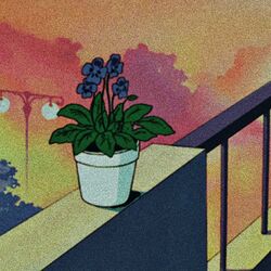 music cover
