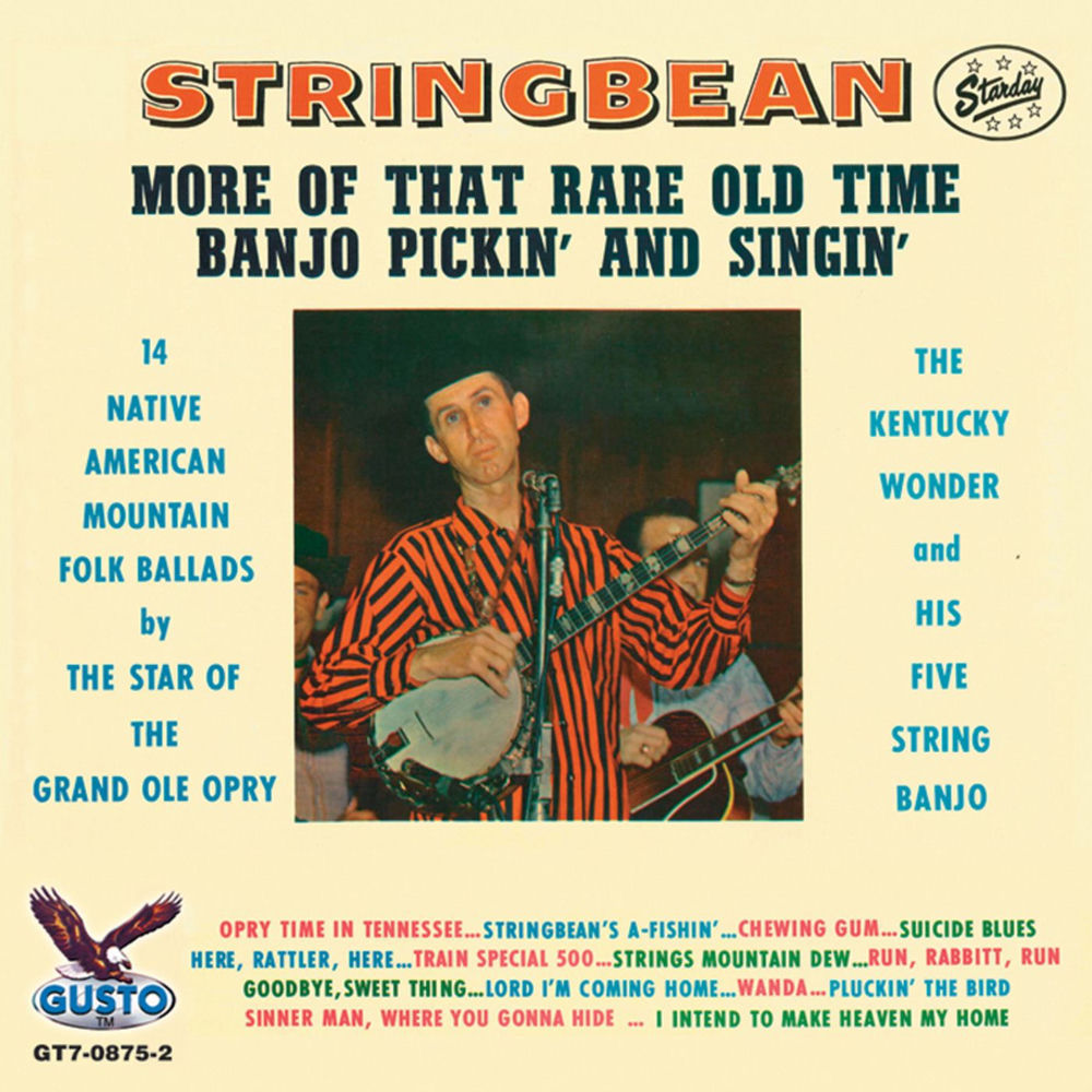 stringbean net worth - Ilustrasi 2