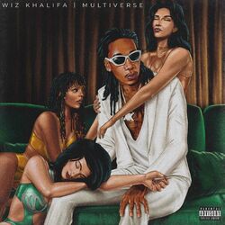 Cover of Multiverse
