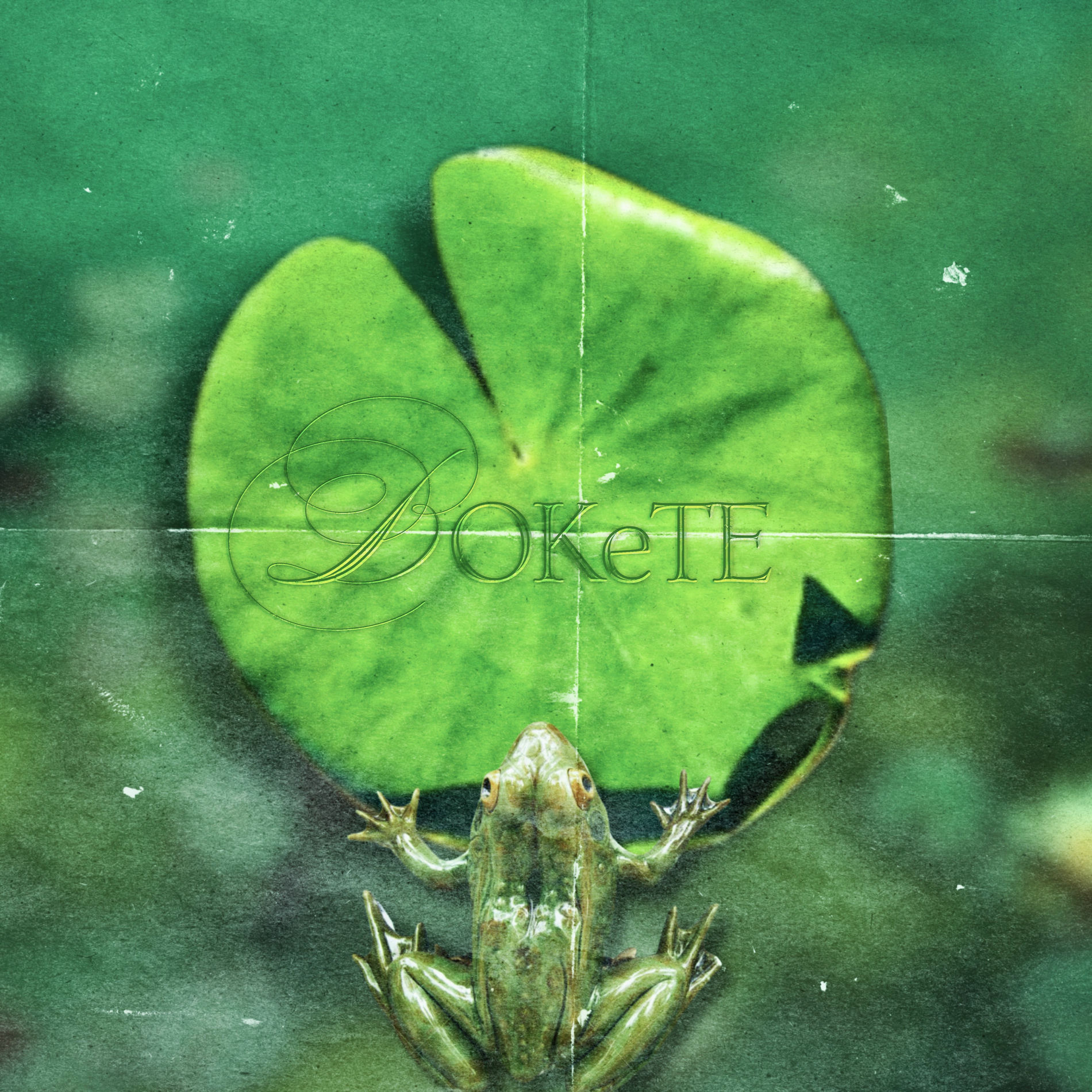 Album cover of Bokete