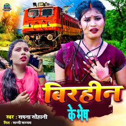 Cover of Birahin Ke Bhesh