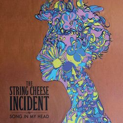 Cover of Song in My Head