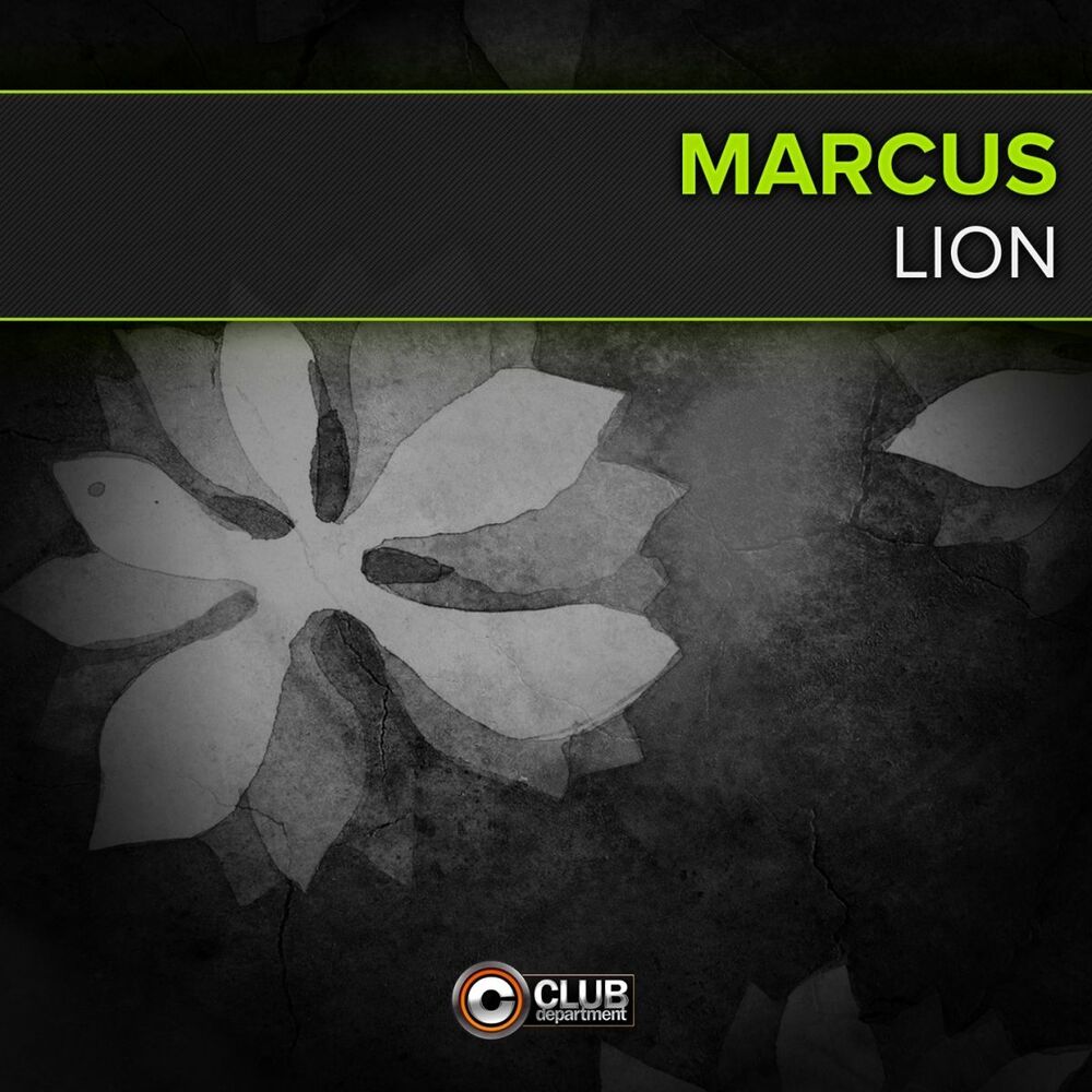 Picture of Lion