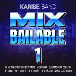 Cover of Mix Bailable 1 ( No Me Arrepiento de Este Amor/Mentirosa /Ritmo de Mi Corazón/Las Cajas/Ya Te Olvide /La Rebelión/La Dueña del Swi