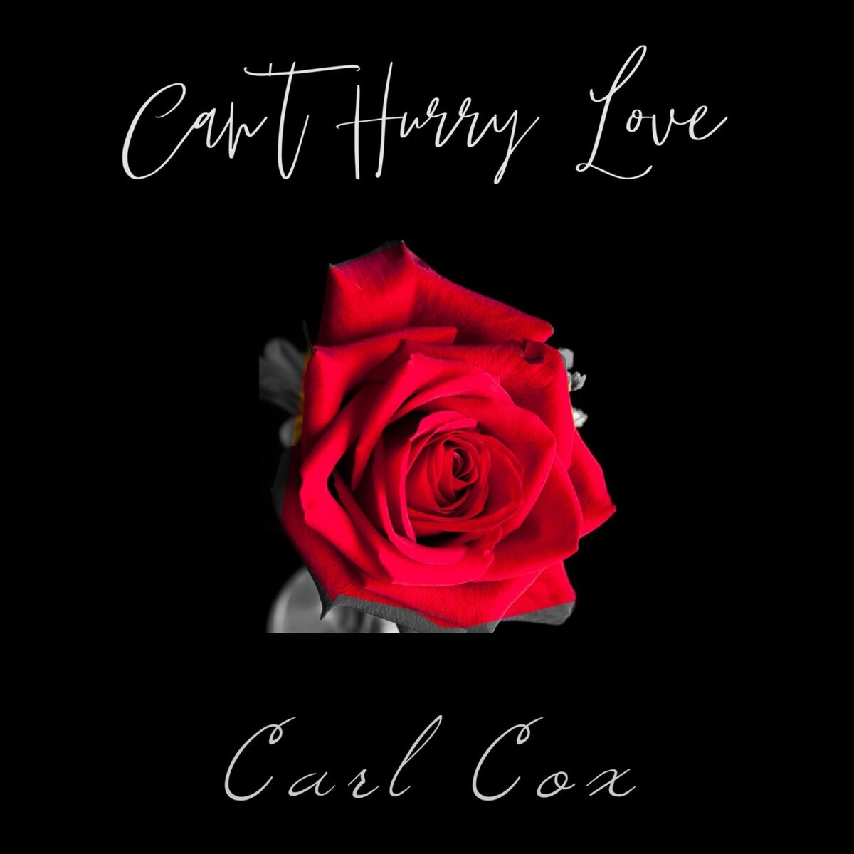 Album cover of Can't Hurry Love