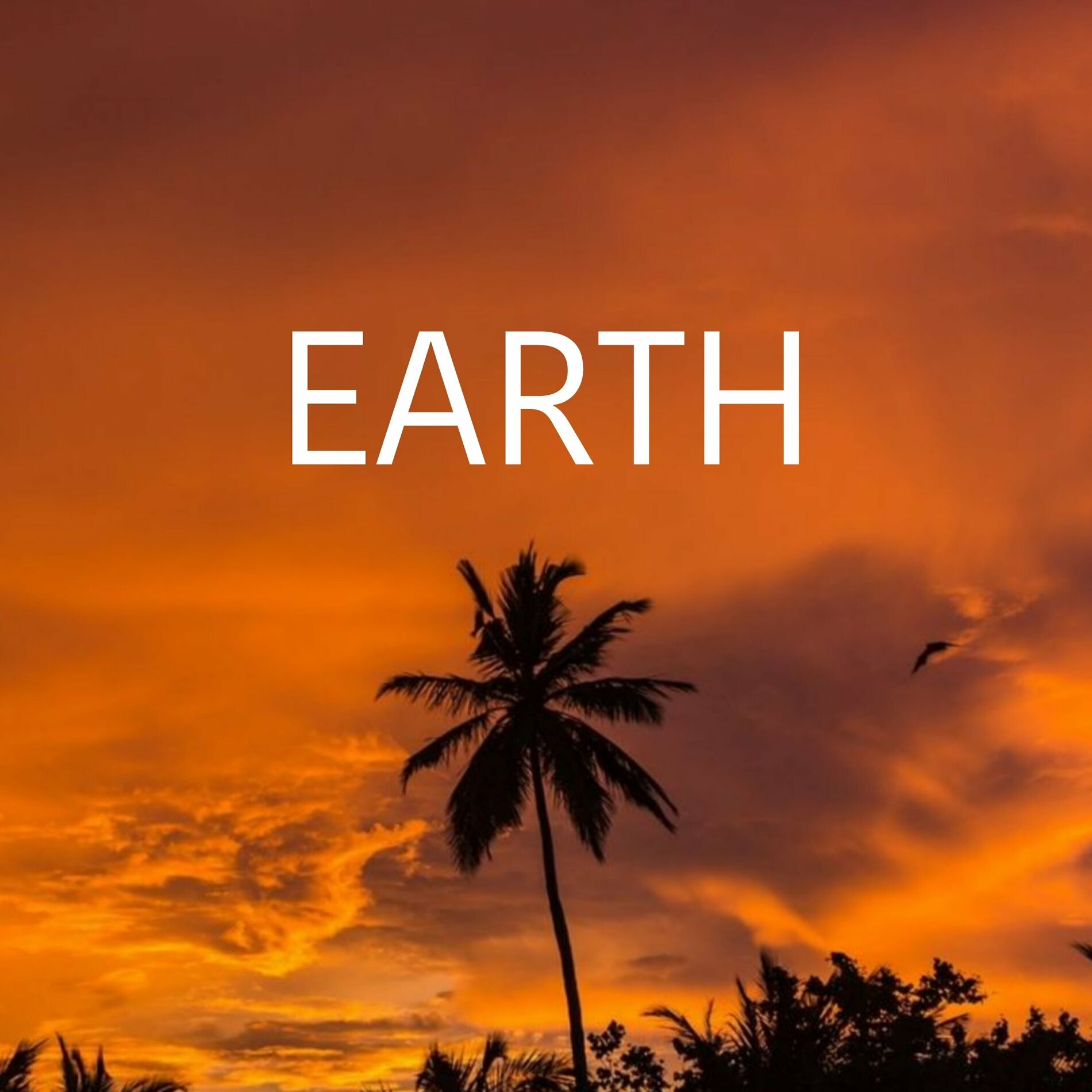 Album cover of Earth