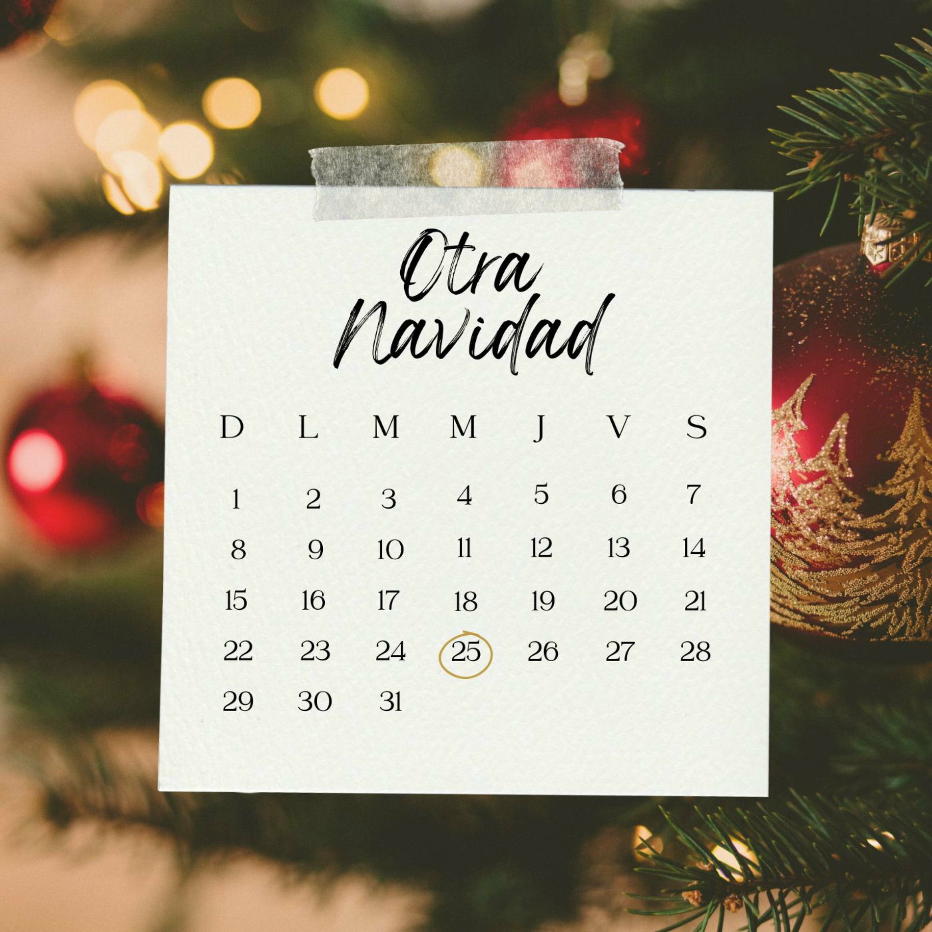 Album cover of Otra Navidad (feat. Payan, Laura, Jophiel, Sury, Manuel & Daniela)