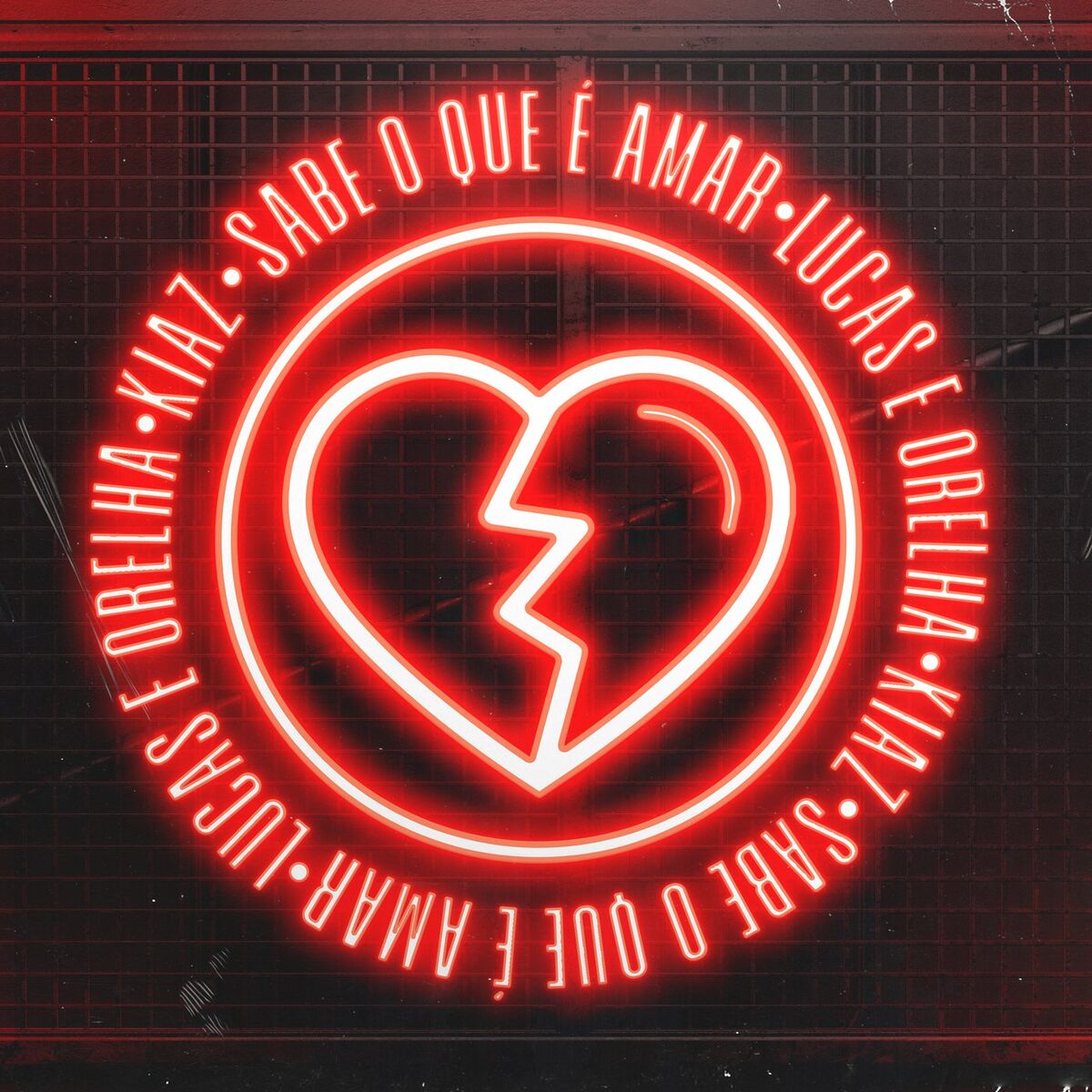 Album cover of Sabe O Que É Amar