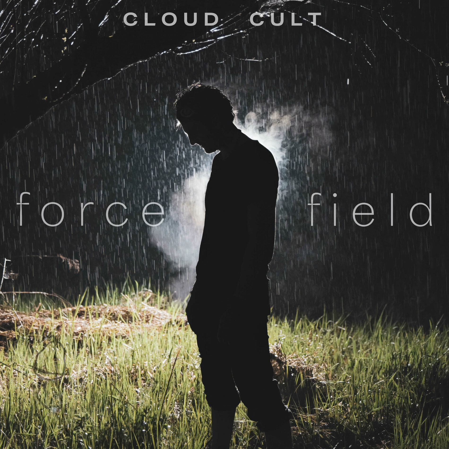 Album cover of I Am A Force Field