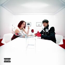 Cover of 300 Noches