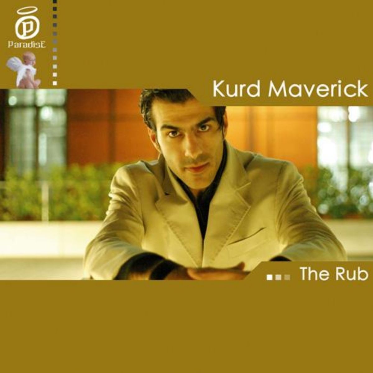 Album cover of The rub