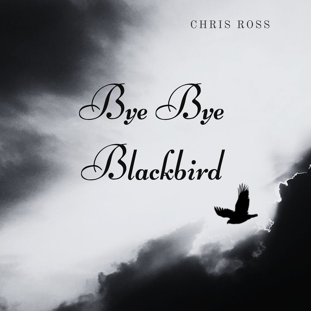 Bye Bye Blackbird