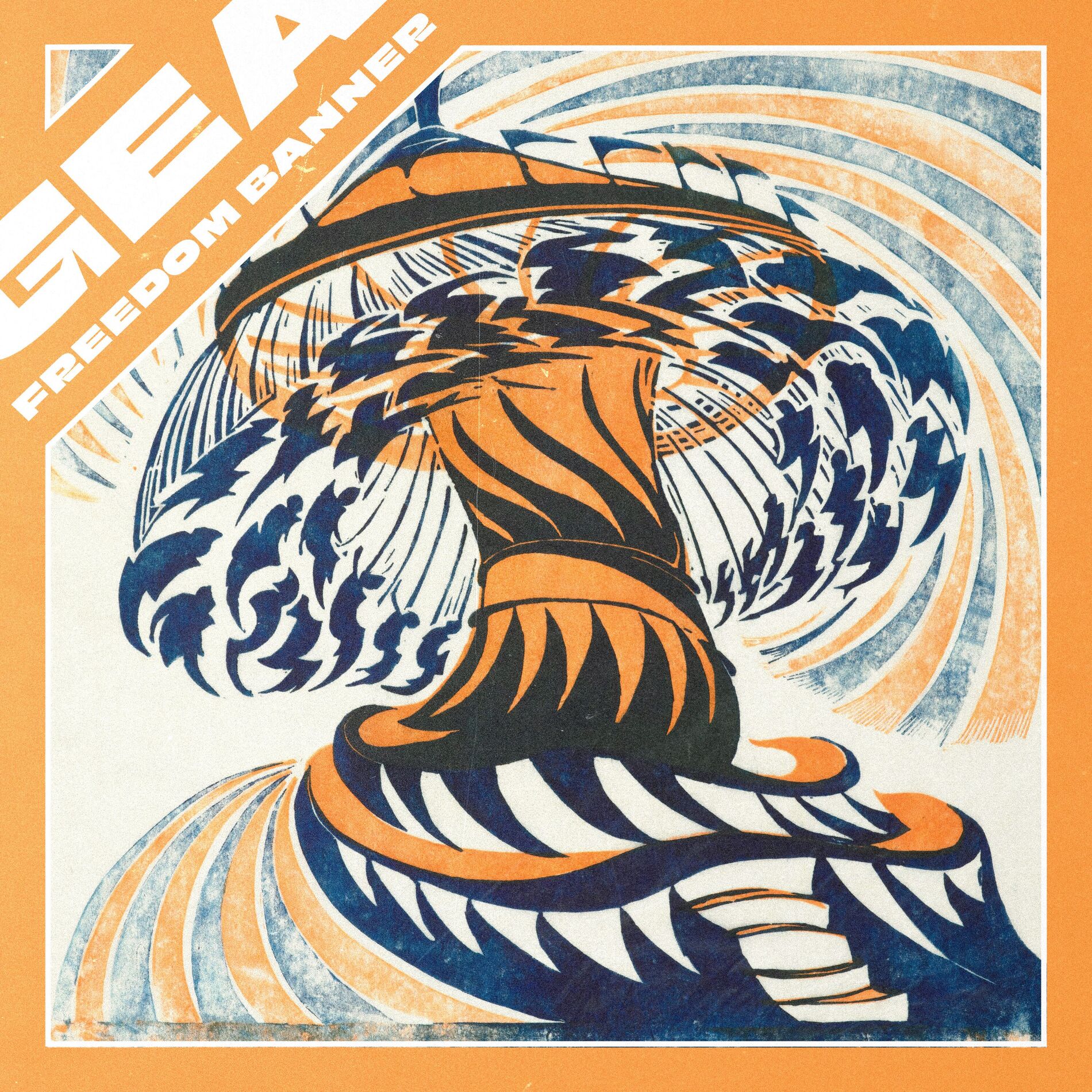 Album cover of Freedom Banner