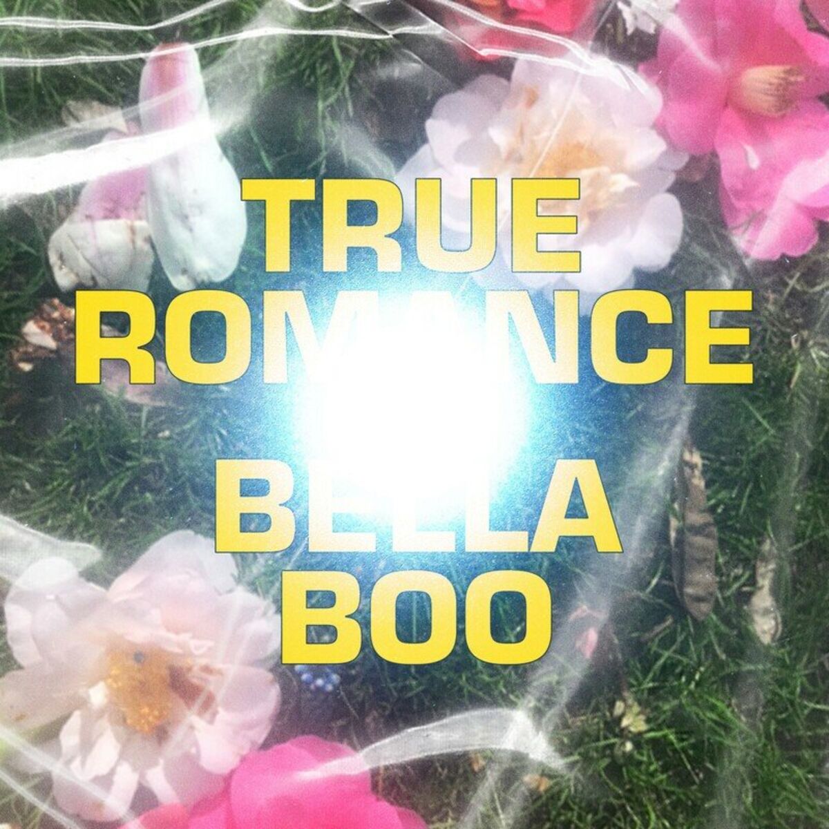 Album cover of True Romance